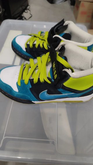 Deportivas Nike 6.0