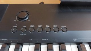 Piano Digital Casio CDP-120