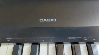 Piano Digital Casio CDP-120