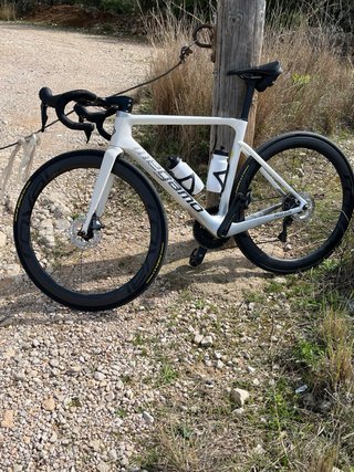 Megamo Pulse Elite