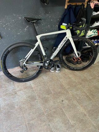 Megamo Pulse Elite