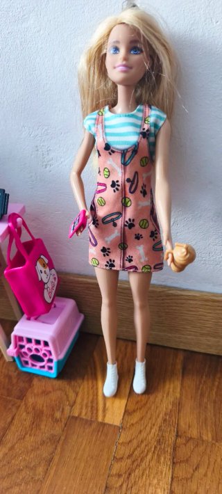 Barbie veterinaria con accesorios