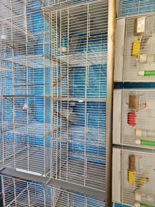 4 Jaulas de cría de metro para pájaros