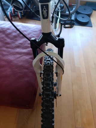 Bicicleta freno disco