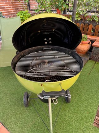 Barbacoa Weber Master Touch Verde