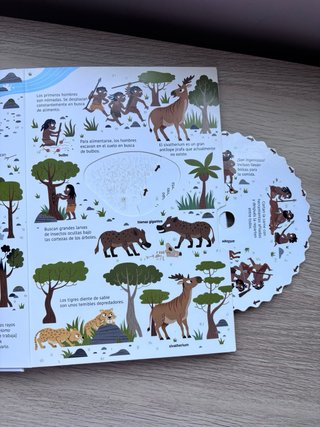 Libros para niños de infantil 3-6 años.