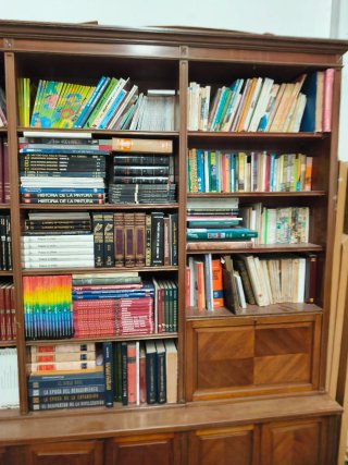 Enorme lote de libros antiguos y descatalogados