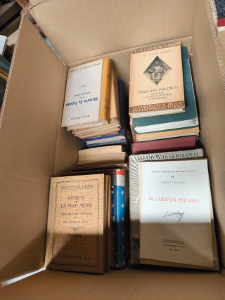 Enorme lote de libros antiguos y descatalogados