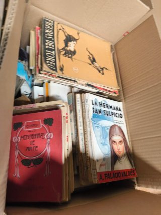 Enorme lote de libros antiguos y descatalogados