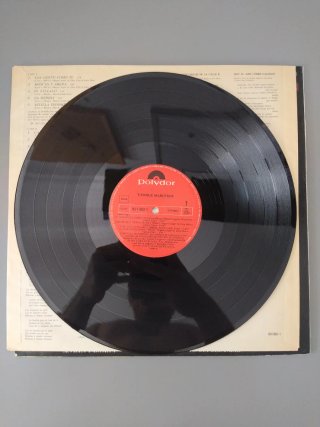 Vinilo Tiernos Mançebos Indie