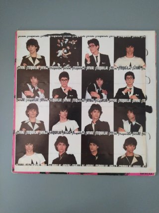 Vinilo Punk Rock Viva Tequila!