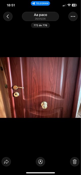 Puerta blindada marrón