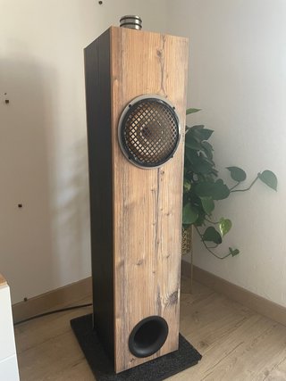 Columna Lii Audio Fast 8 full range