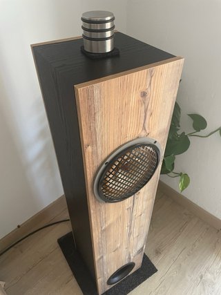 Columna Lii Audio Fast 8 full range