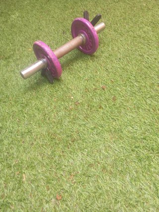 Mancuerna/Pesa 5kg Morada