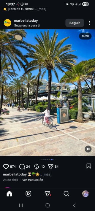Limpieza de jardin y mantenmiento