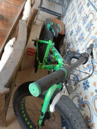 Bici Ruedas Gordas Verde