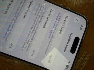 iPhone 15 Pro Max 256GB - 87%