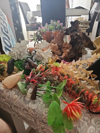 Decoración Acuario Variada