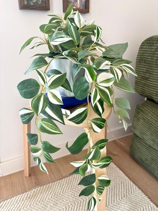 Planta Artificial Decorativa