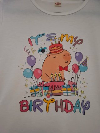 Lote 3 camisetas niño Talla 10
