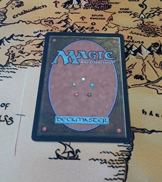 CARTA MAGIC - ELADAMRI'S VINEYARD