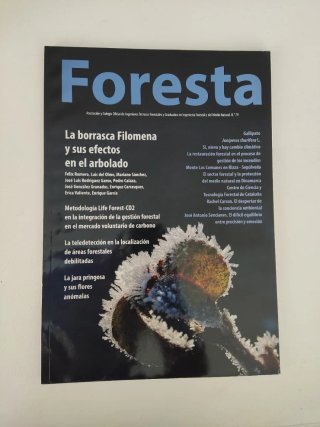 Revista Foresta n 79
