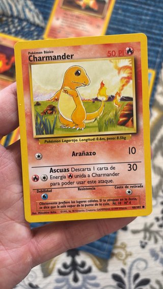Lote Cartas Pokémon