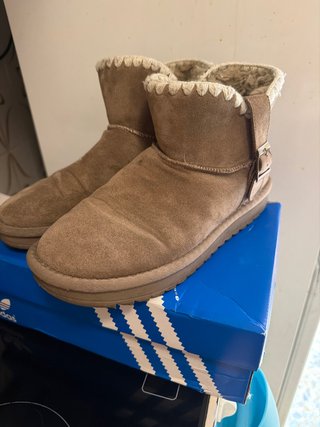 Zapatos gofo shoes mujer