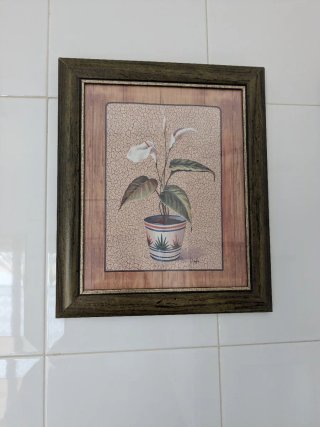 Juego de 6 cuadros decorativos