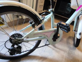 Bicicleta B-PRO