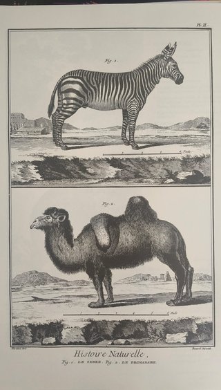 Enciclopedia Diderot y D´Alembert (31 Entregas)
