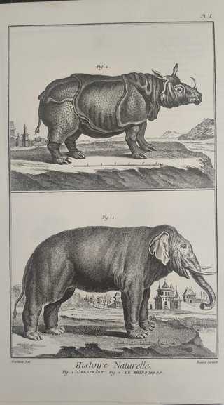 Enciclopedia Diderot y D´Alembert (31 Entregas)