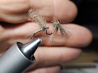 MOSCAS PARA LA PESCA DE TRUCHAS