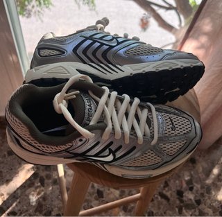 Zapatillas Nike Pegasus Plata y Negro