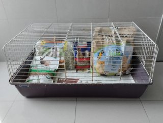Jaula Conejitos