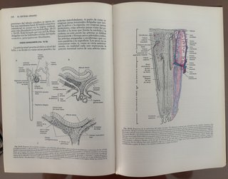 Tratado de histología