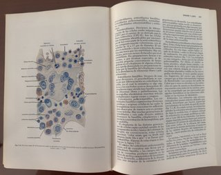 Tratado de histología