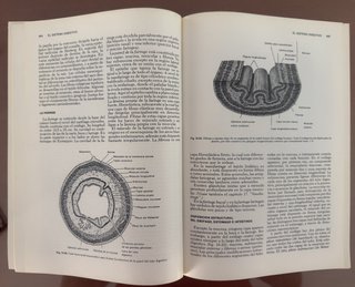 Tratado de histología