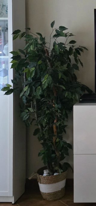 Planta artificial decorativa