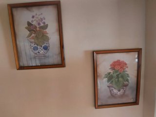 Conjunto de 2 cuadros decorativos