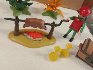 Lote Playmobil Medieval
