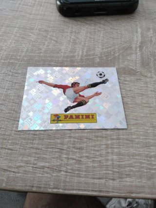 Cromo Panini Mundial Fútbol