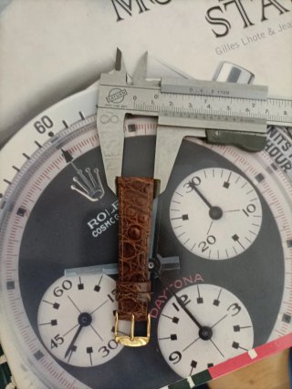 Correa de cocodrilo para reloj