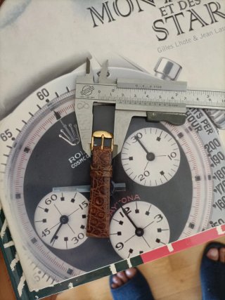 Correa de cocodrilo para reloj