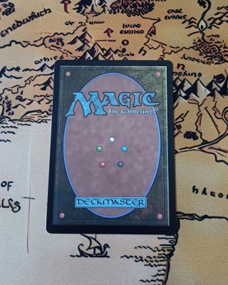 CARTA MAGIC - SPIDERHAM, PETER PORKER