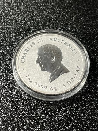 Moneda Plata Lunar III Caballo 2026