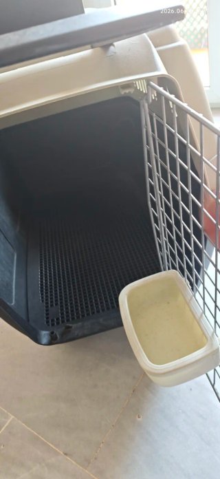 Transportín grande para perro con ruedas  78x55x65