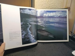 Magia Del Mar