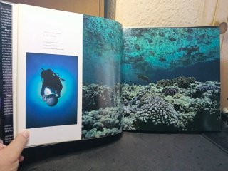 Magia Del Mar